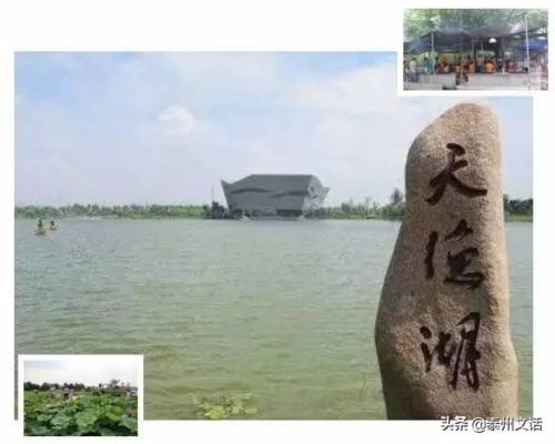 山东泰州烧烤排名前十(泰州有烧烤设备卖吗)插图2