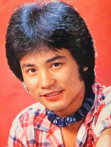 香港著名演员排行榜(香港男明星排行榜100名)插图11