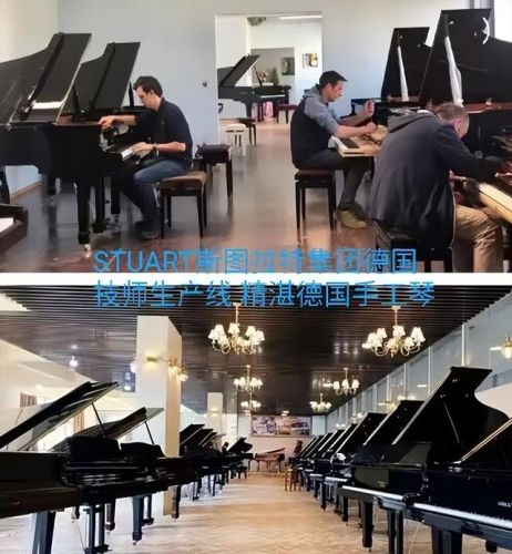 全球顶级风琴排名前十(世界顶级医院排名)插图4