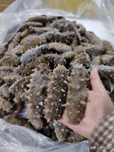 威海美食海参排名前十(威海特色高档餐厅排名)插图1