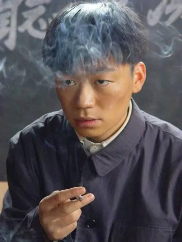 特工碟战电视剧排行榜(经典二十部谍战电视剧)插图27