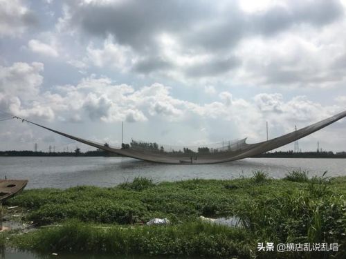 射阳小区人口排名前十(射阳最贵的小区)插图7