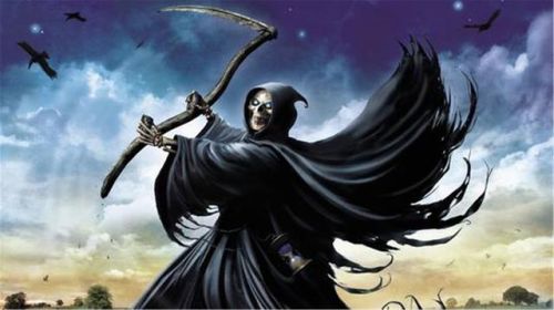 魔法师类的小说排行榜(经典魔法斗气小说完本推荐)插图16