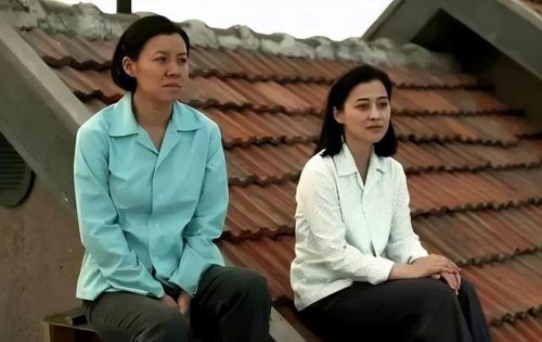 家庭生活电视剧排行榜(十大公认最好看的家庭剧)插图77