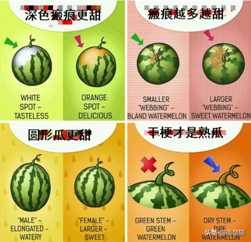 全球厨师图表排名前十(世界国家排名前十位的)插图1
