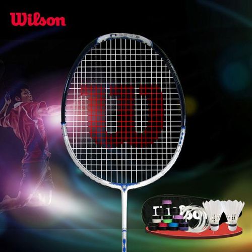 羽毛球装备品牌排行榜(十大公认最强羽毛球拍品牌)插图20