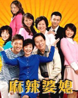 大陆婆媳电视剧排行榜(比较火的婆媳剧有哪些)插图7