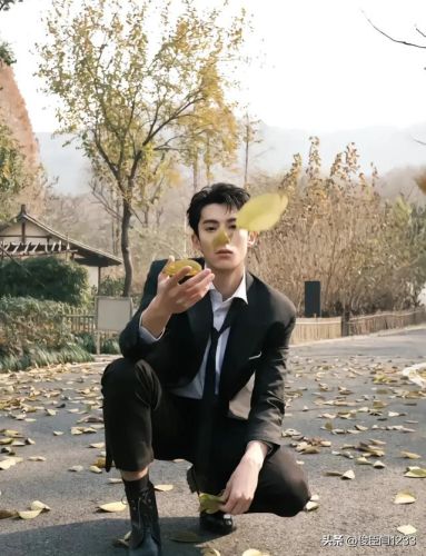 男团顶级帅哥排名前十(中国女团组合排行榜)插图42
