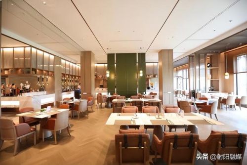 射阳大型酒店排名前十(射阳有哪些宾馆)插图8
