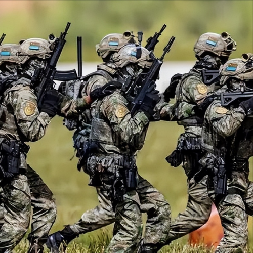 中国特种兵排行榜(世界十大顶级特种部队)插图7
