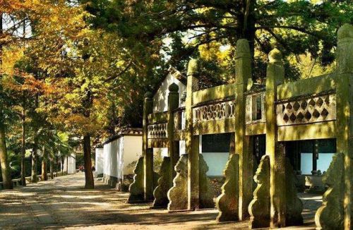 江西怀旧景区排名前十(江西五a景区有哪些)插图29