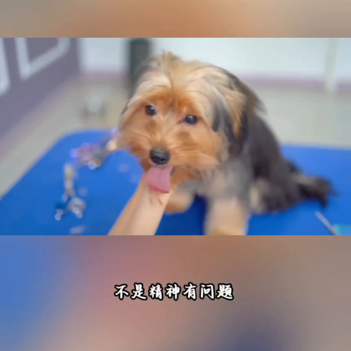 总排行榜夜夜小说全集(排名第一的完结小说)插图4