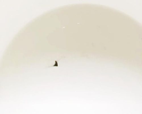 奶锅木柄厂家排名前十(奶锅十大品牌)插图65 奶锅木柄厂家排名前十(奶锅十大品牌)插图65