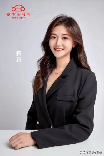 世界豪华商务车排行榜(最舒适的商务车排名)