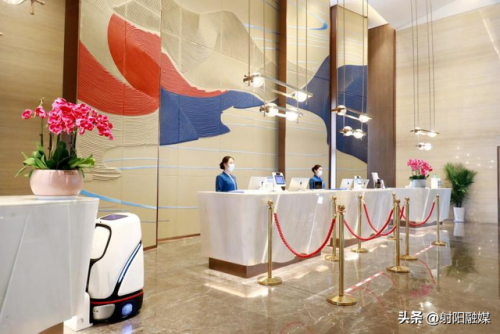 射阳大型酒店排名前十(射阳有哪些宾馆)插图3