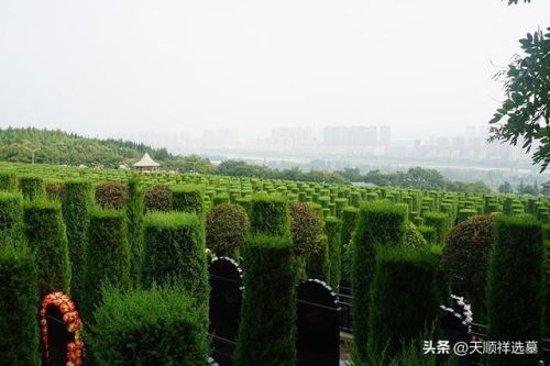 陵园排行榜(北京墓地排行榜)