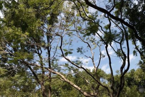 深圳好玩瀑布排名前十(深圳适合一日游的景点推荐)插图75