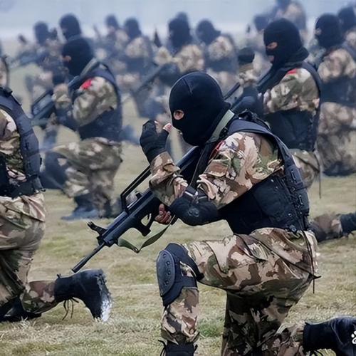 中国特种兵排行榜(世界十大顶级特种部队)插图8