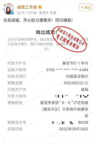 四川地震明星捐款排行榜(汶川地震捐款一亿的人)插图19