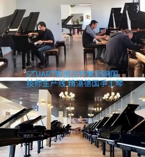 全球顶级风琴排名前十(世界顶级医院排名)插图1