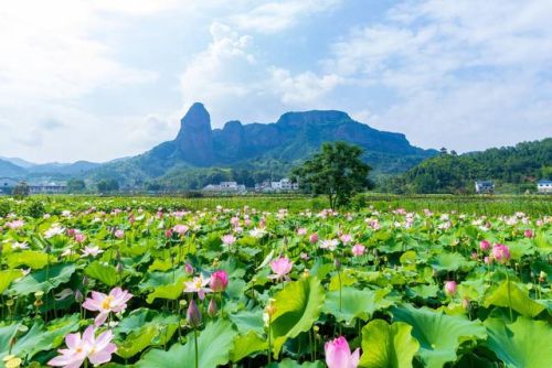 江西怀旧景区排名前十(江西五a景区有哪些)插图55