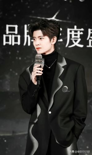 男团顶级帅哥排名前十(中国女团组合排行榜)插图33