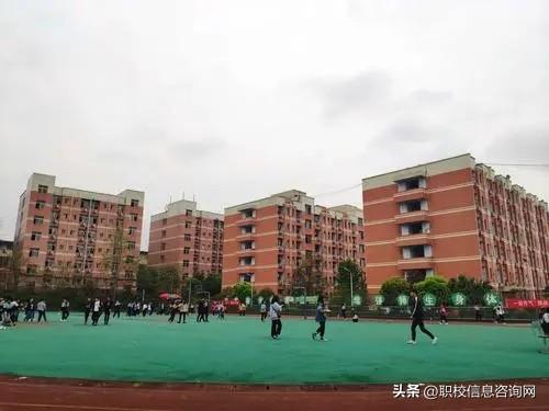 南充中职学校排名前十(南充最好的职高)插图2