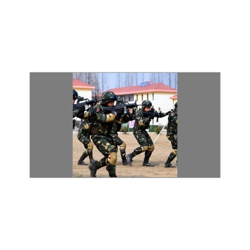 中国特种兵排行榜(世界十大顶级特种部队)插图4