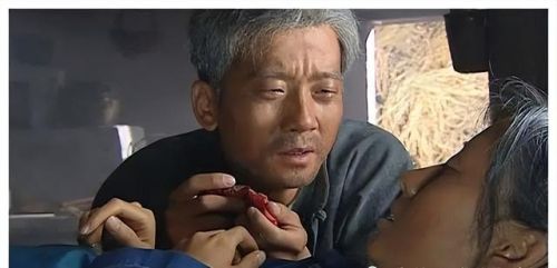 家庭生活电视剧排行榜(十大公认最好看的家庭剧)插图60
