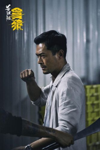 香港著名演员排行榜(香港男明星排行榜100名)插图7