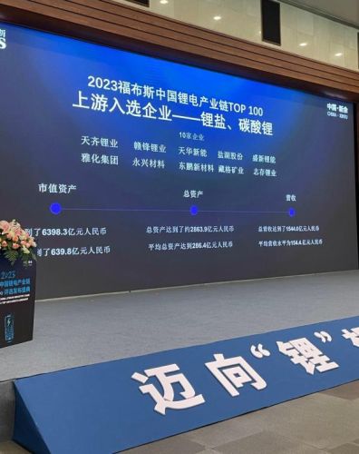 2022锂电公司排名前十(中国锂电十强)插图1
