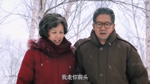 家庭生活电视剧排行榜(十大公认最好看的家庭剧)插图36