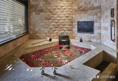 全国上榜温泉排名前十(全国四大温泉)插图3