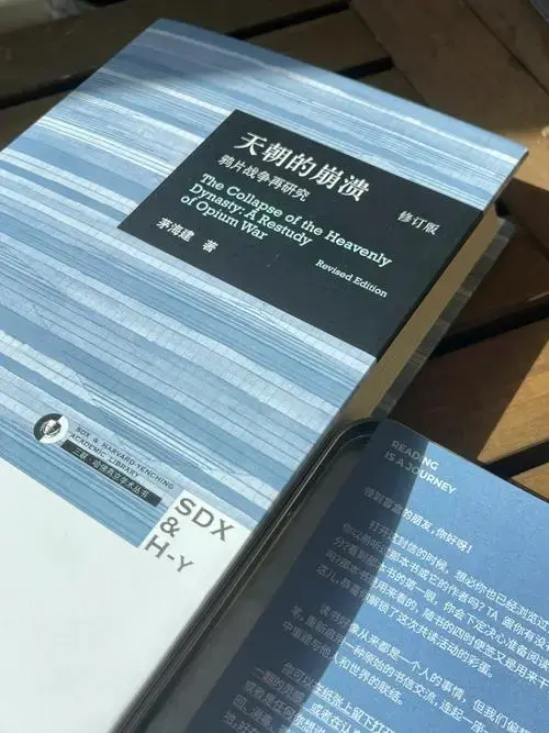 清朝历史书籍排行榜(了解清朝历史看什么书最好)插图10