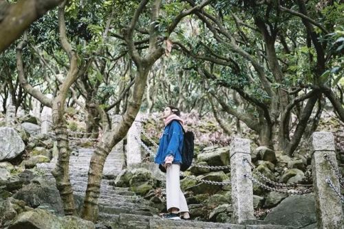 深圳好玩瀑布排名前十(深圳适合一日游的景点推荐)插图29
