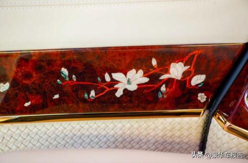 世界豪华商务车排行榜(最舒适的商务车排名)插图25