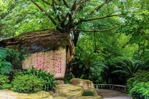 重庆市景点排行榜(重庆旅游必去十大景点推荐)插图23