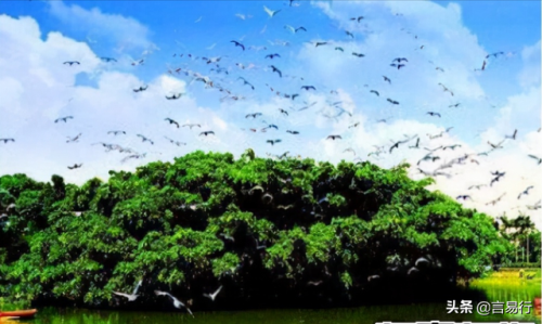 中国排名前十风景树(中国最美山水排行榜)插图8