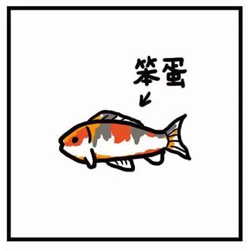 看图猜明星500个图片及答案(抖音一匹马一个龙卷风看图猜明星)插图14