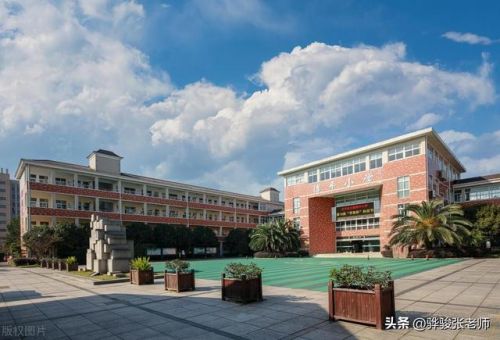 建安区小学排名前十(许昌私立小学排名一览表最新)插图6