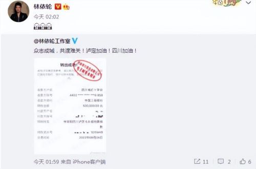 四川地震明星捐款排行榜(汶川地震捐款一亿的人)插图15