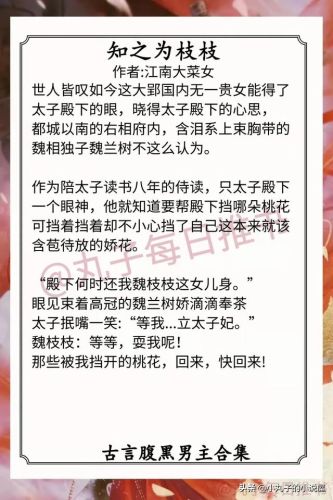 古言经典男主排行榜(古言小说最具魅力男主角前十名)