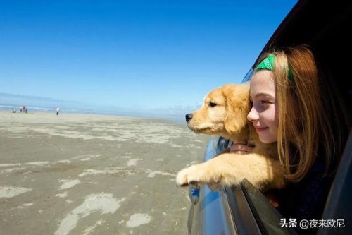 车里音乐排行榜前十名(必听的十大车载音乐)插图3