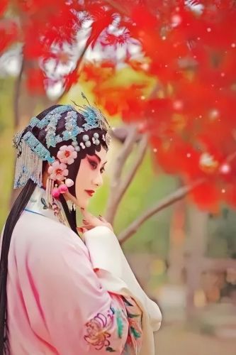琴书排行榜(我想听琴书)插图8