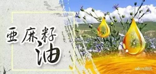 亚麻籽油的品牌排行榜(我国亚麻籽油十大名牌)插图