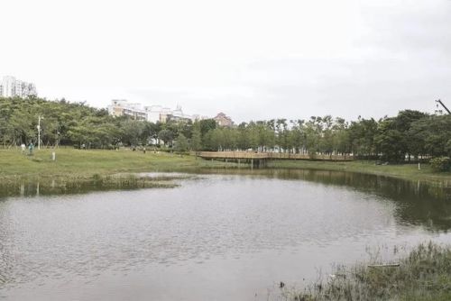 深圳好玩瀑布排名前十(深圳适合一日游的景点推荐)插图93