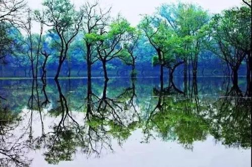 江西怀旧景区排名前十(江西五a景区有哪些)插图62