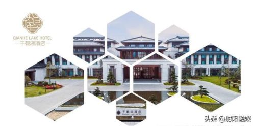 射阳大型酒店排名前十(射阳有哪些宾馆)插图1