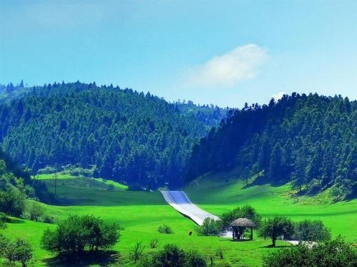 重庆市景点排行榜(重庆旅游必去十大景点推荐)插图25