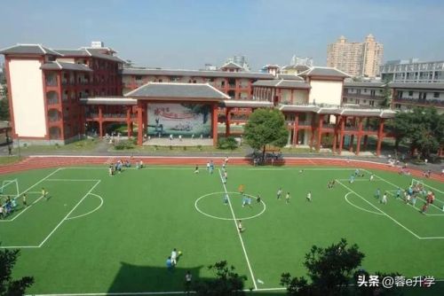新武侯区小学排名前十(成都青羊区小学排名最新更新)插图3